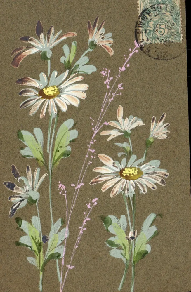 Flores de margarida — ilustração aquarelada — editor desconhecido - Frente