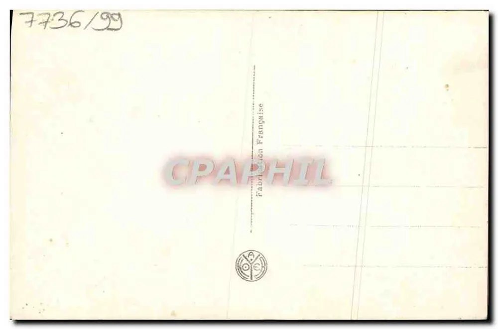 एक बरतन में वाइओलेट — Z.ED 523 - पीछे