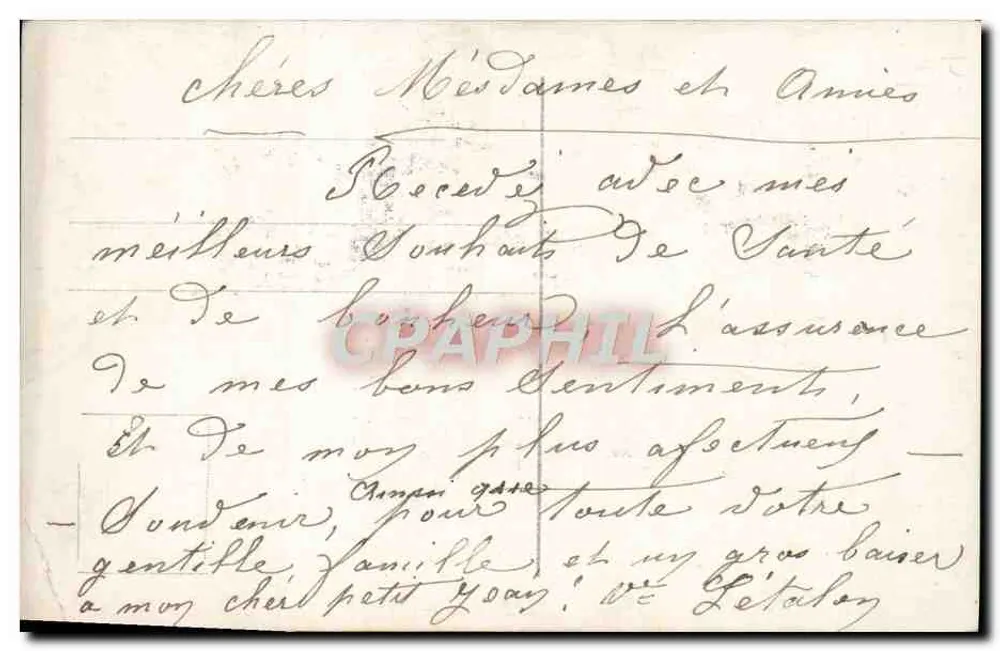 Mão segurando margaridas — Amizade — REX 4398 - Verso