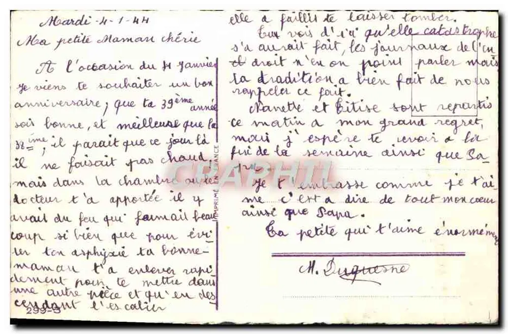 Arranjo de violetas — Feliz Aniversário — carta postal - Verso