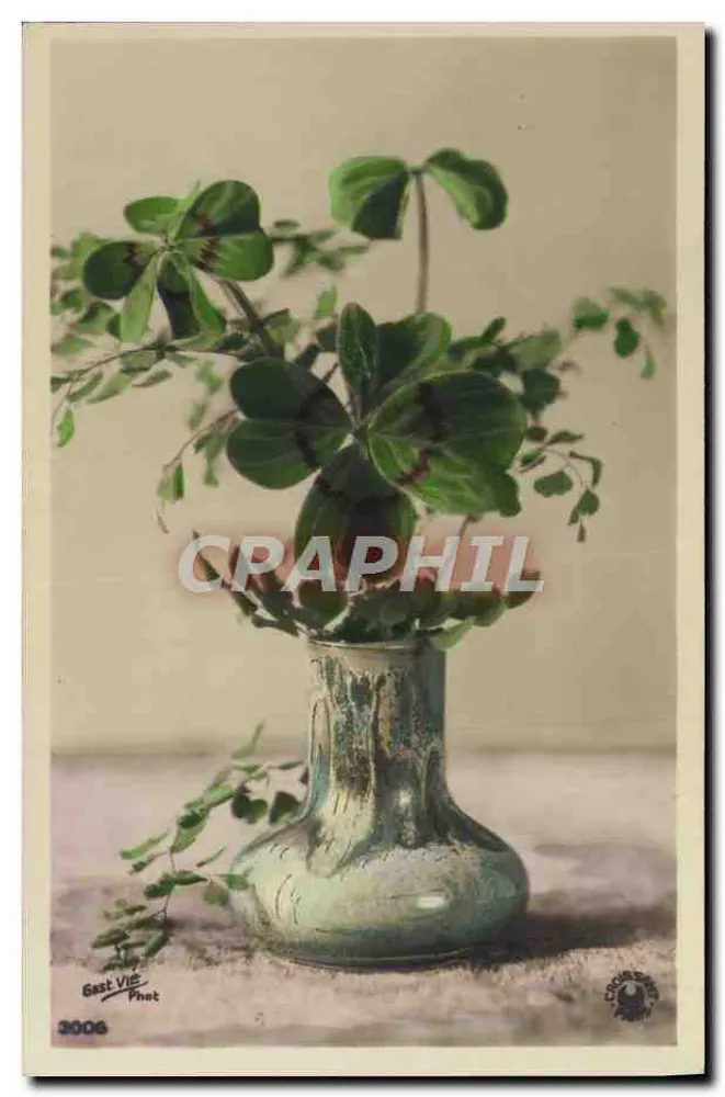 पात्रा में पौधा — फूलों की व्यवस्था — Gest Vie Phot, संख्या 2006 - आगे