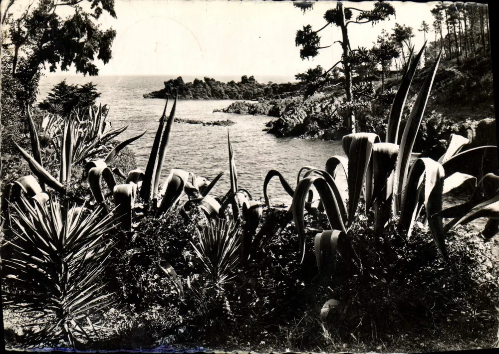 La Côte d'Azur — Végétation Tropicale — Les Éditions FRANK, Nice - Frente