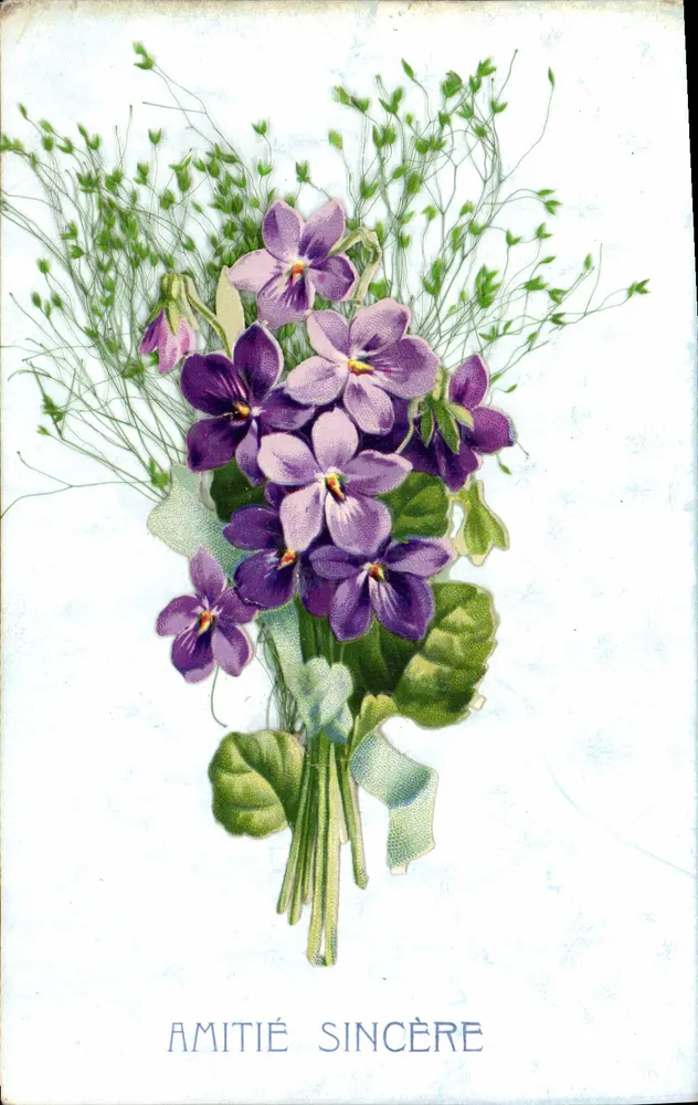 Buquê de violetas — AMIZADE SINCERA — - Frente