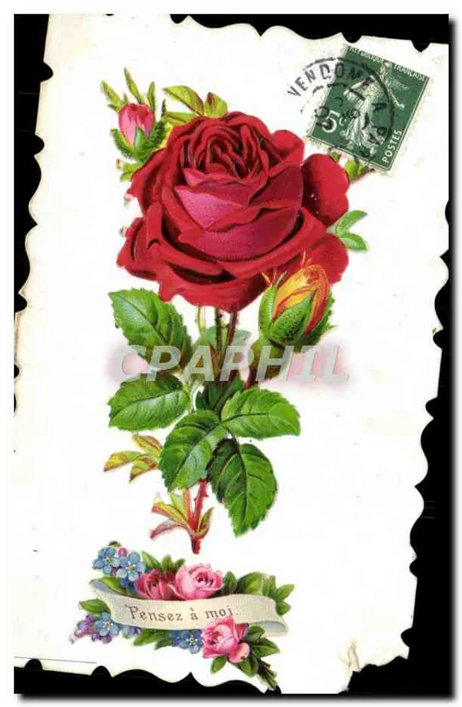 Rose rouge — illustration avec ruban « Pensez à moi » — éditeur non visible - Frente