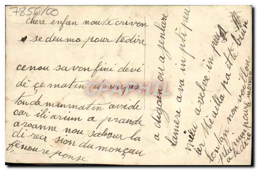 Niebieskie kwiaty — Karta życzeń — wydawca nieznany, nr 7856/100 - Rewers