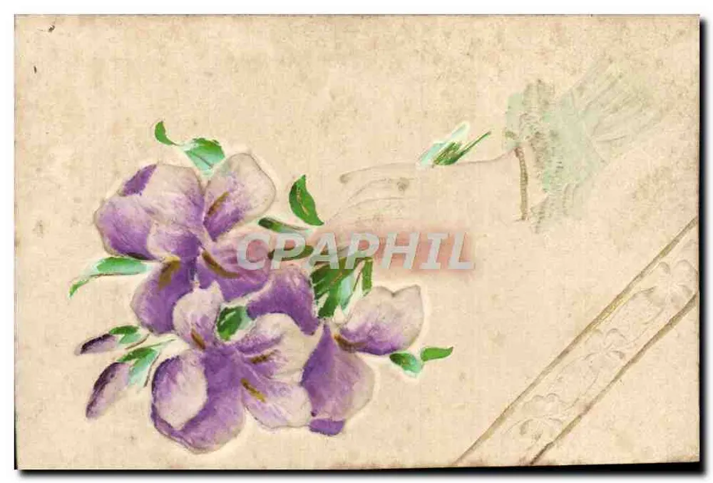 Flores violetas — ilustração — editor não visível - Frente