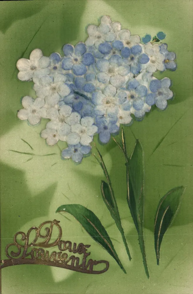 Fleurs d'oublie — souvenir — Karta pocztowa uniwersalna - Awers