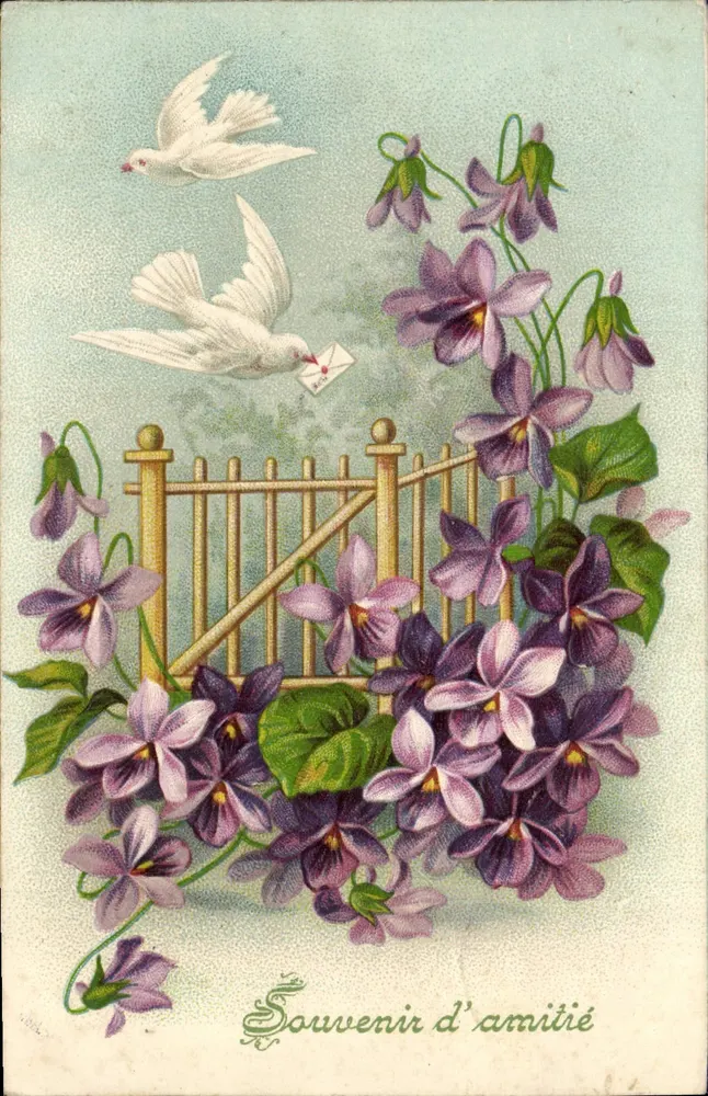 Violetas e pombas — Lembrança de amizade — editor não visível - Frente