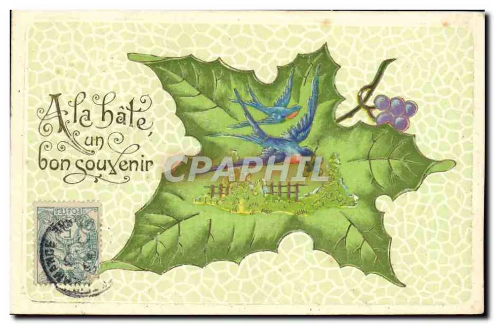 Houx et oiseaux — carte postale de service intérieur — éditeur non visible - Recto