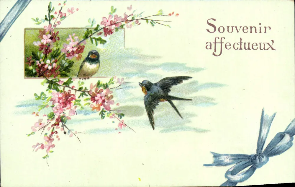 Oiseaux et fleurs — Souvenir affectueux — sans éditeur ni numéro visible - Recto