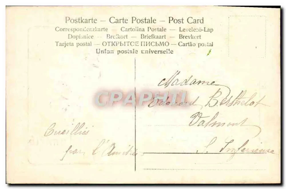 Violetas — Lembrete de amizade — República Francesa, carimbo de 5 centavos - Verso