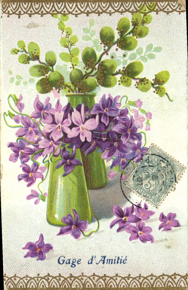 Violeiros em um vaso verde — Sinal de Amizade — editor não visível - Frente