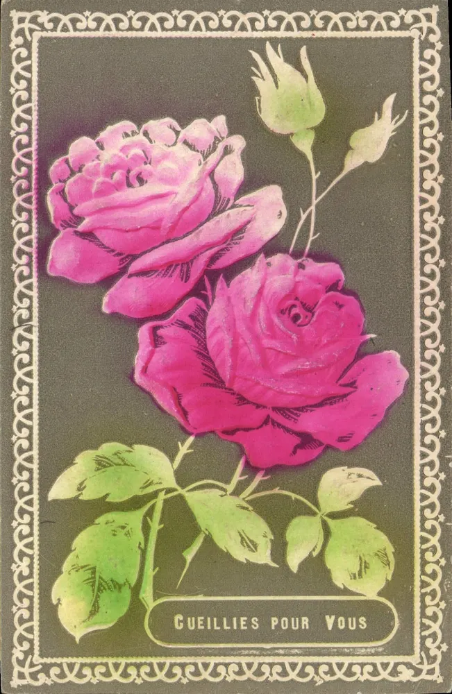 Rosas para você — Gueillies para você — editor desconhecido, número de série não visível - Frente