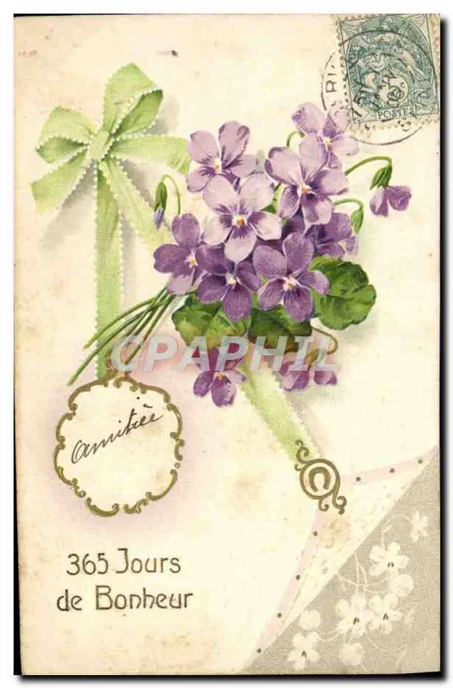 Violetas — 365 Dias de Felicidade — editor não visível - Frente