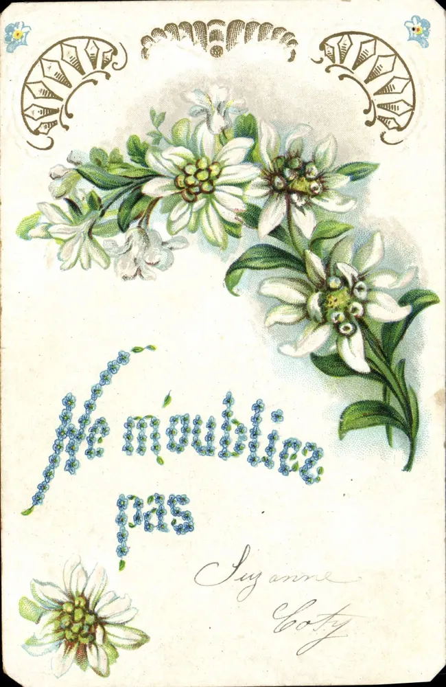 Fleurs d'Edelweiss — carte ornée de motifs floraux — éditeur inconnu - Frente