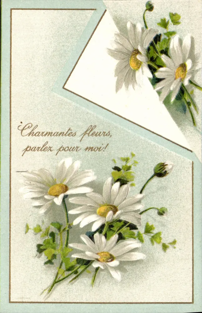 Flores de margaridas — texto poético — sem editor nem número visível - Frente