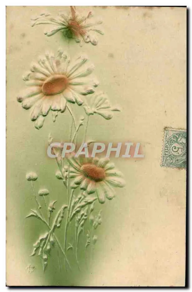 Flores de margaridas — edições anônimas — selo de 5 centavos - Frente