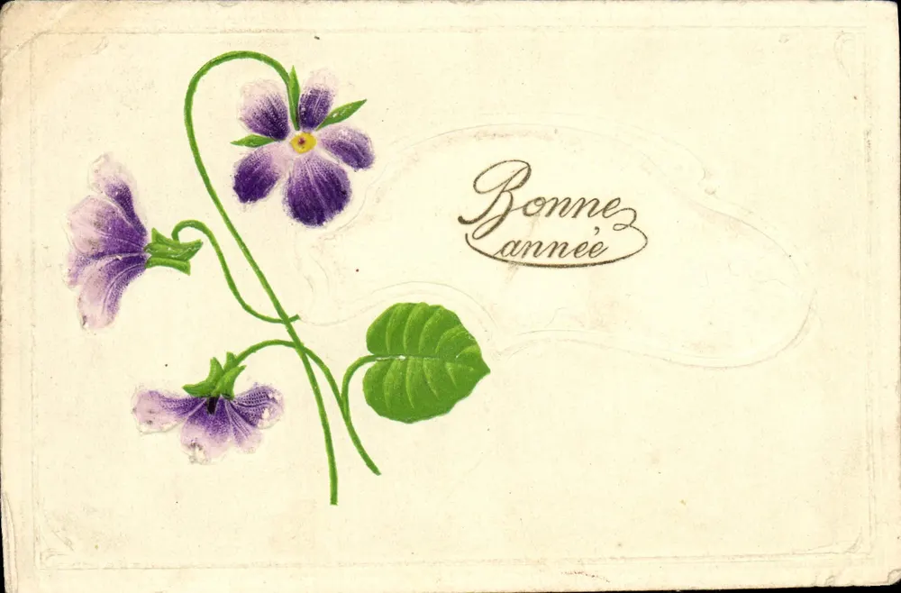 Violes — carte de vœux — éditeur : Postkarte – Carte postale - Frente