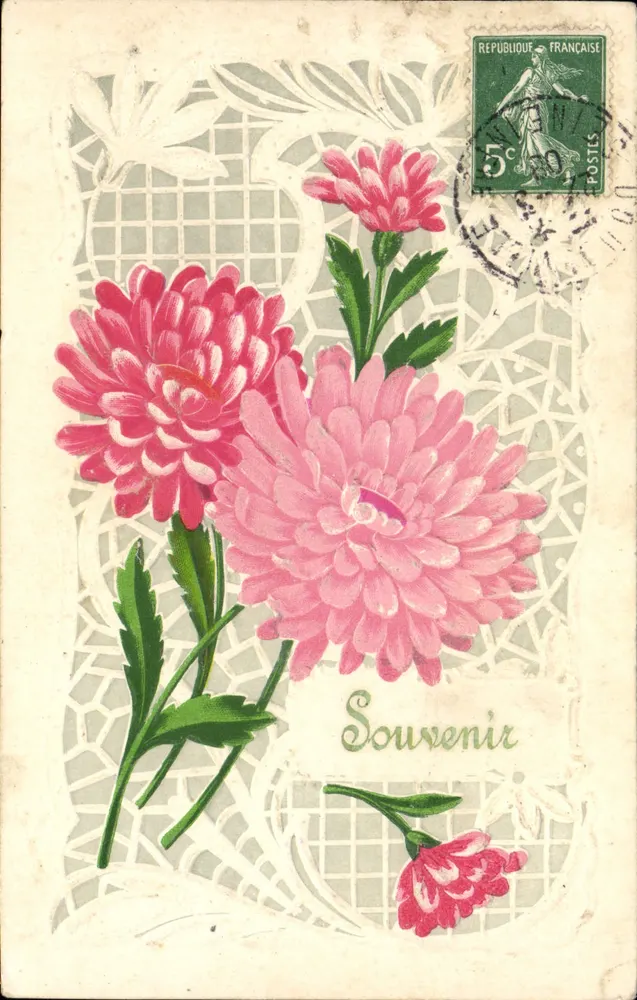 Fleurs roses — bouquet sur fond de dentelle — éditeur non visible - Frente