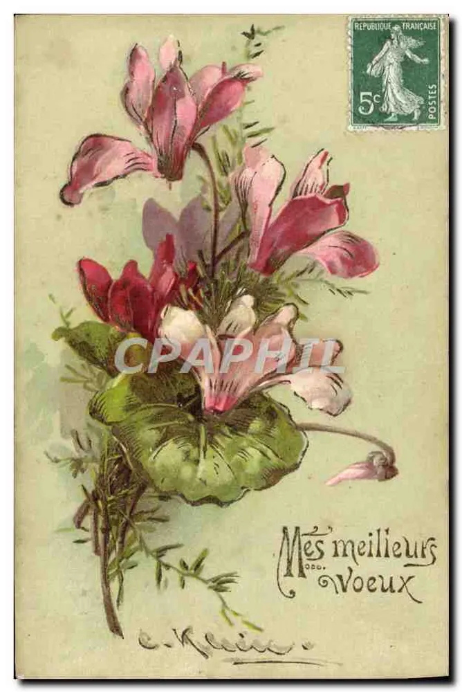 Flores de ciclamenos — carta de boas-vindas — editor E. Klein - Frente