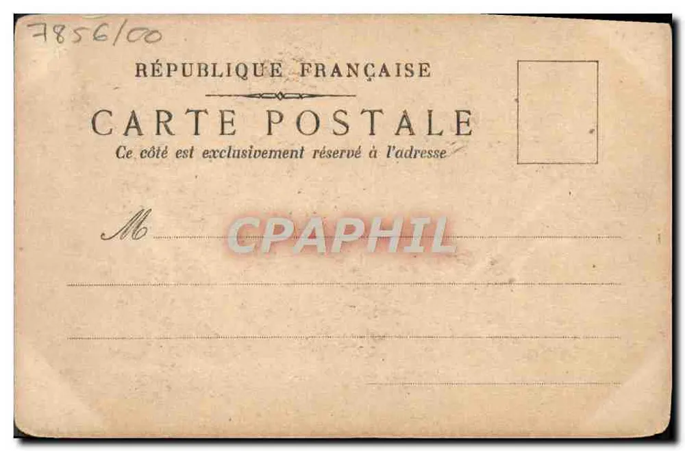 Kwiatacik lianowy na bambusie — ważka — rysunek tuszem — P. — 8e 1905 - Rewers