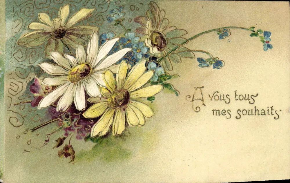 Bouquet de marguerites — illustration colorée — éditeur non identifié - Awers