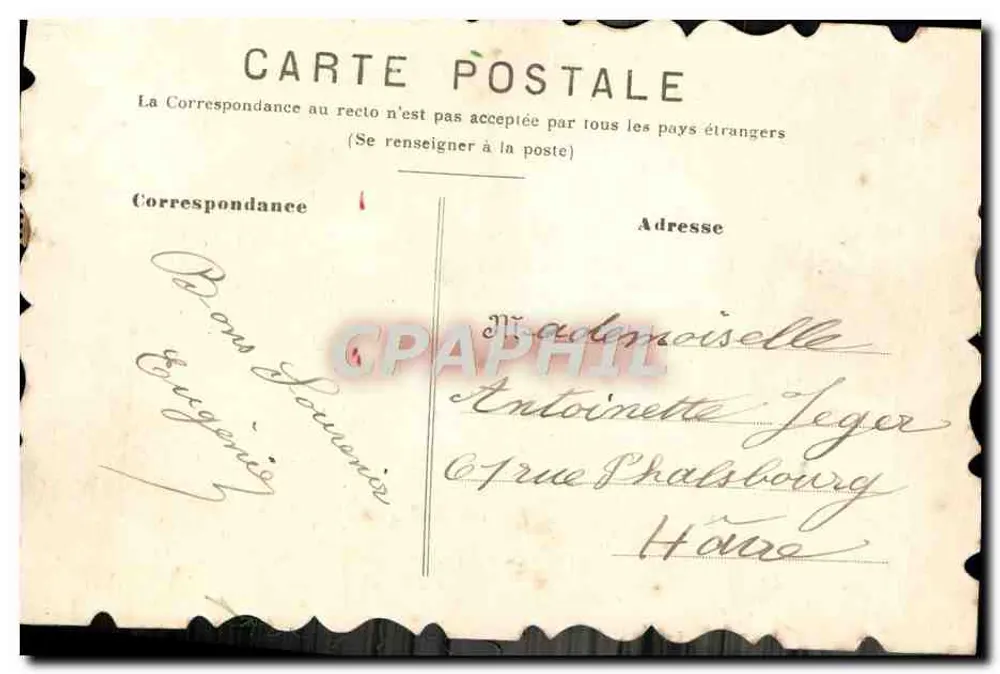 Arranjo de flores e rosa — Lembrança de amizade — Bilhete postal antigo - Verso