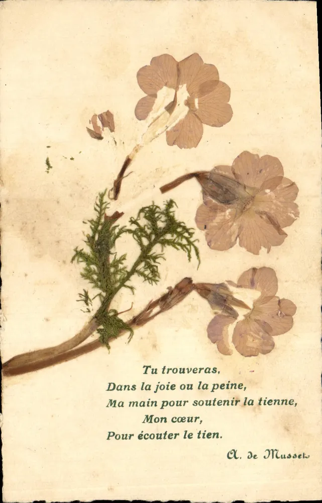 Flores secas e poema — A. de Mussel — carta postal - Frente