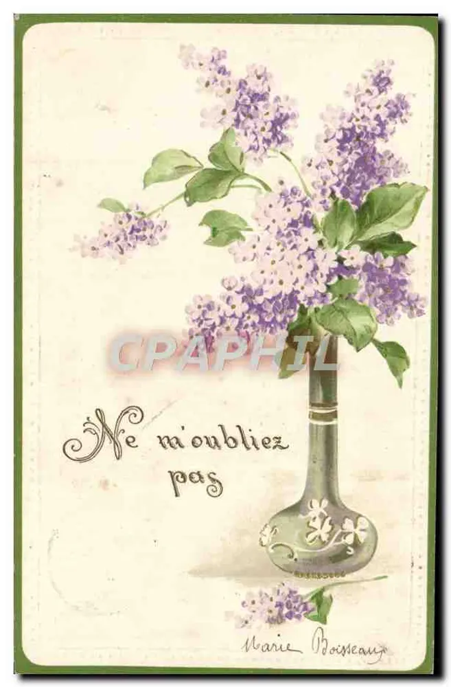 Lilas dans un vase — illustration — éditeur : Marie Boisneau - Awers
