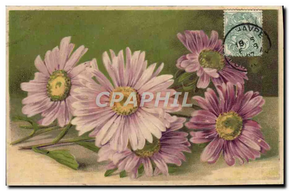 Flores de margaridas — edição K.F. Éditeurs, Nancy, 1923 - Frente
