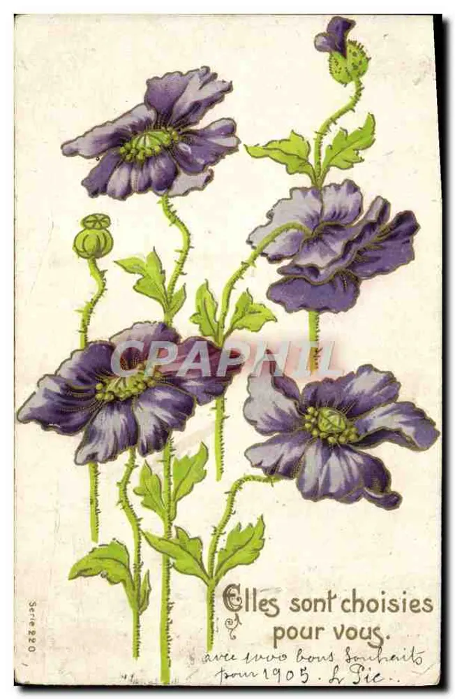 Poppies — Series 20 — Publisher Not Visible - Front