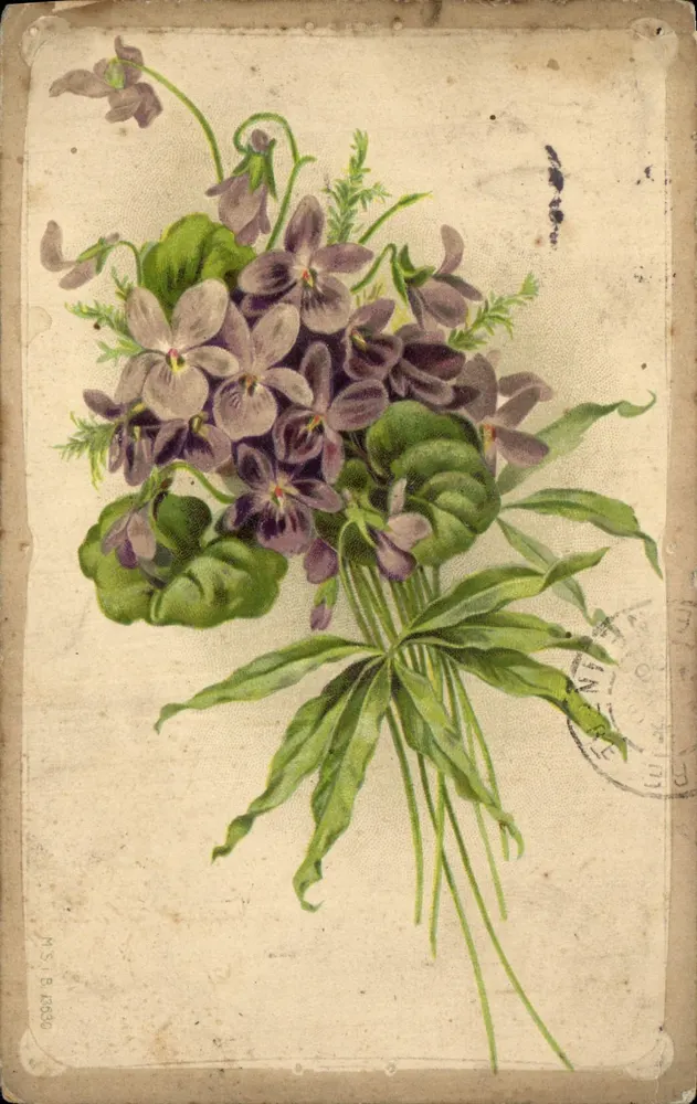 Bouquet de violettes — illustration botanique — éditeur M.S.J. B. n° 16630 - Awers