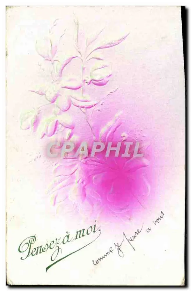 Flores rosas — cartão postal da Argélia — editor não visível - Frente