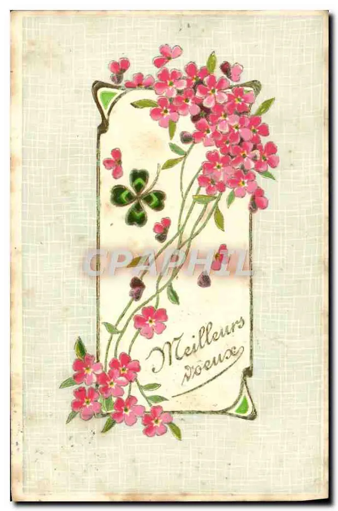 Flores rosas e trevo — Melhores desejos — editor desconhecido - Frente