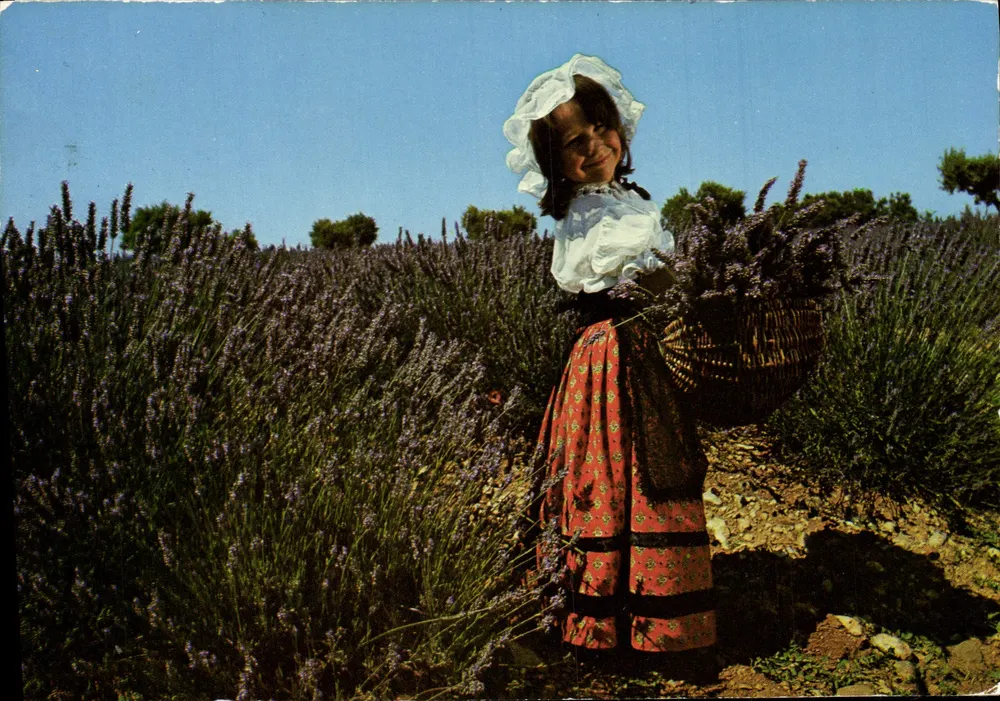 Menina colhendo lavanda — Provence — Oiselet Adia, n° AC.145 - Frente