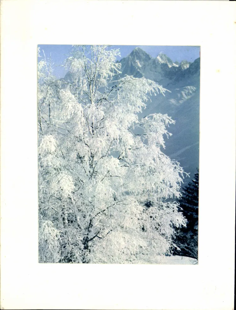 Paisagem de neve — Edições Yvon - Frente
