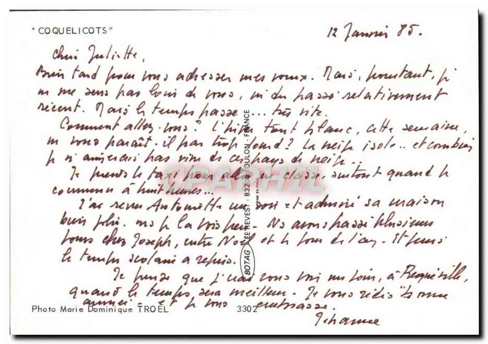 Cravos em flor — Foto Marie Dominique TROËL — Editor BOTAG (Bénevest, França) n°3302 - Verso