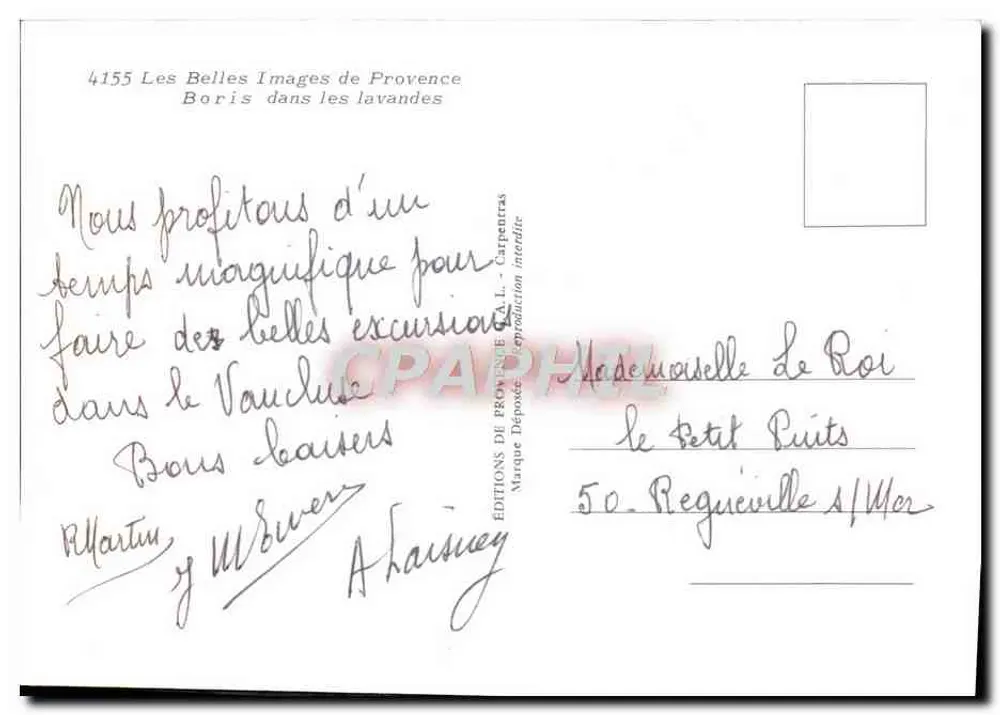 Boris in den Lavendelfeldern — Les Belles Images de Provence, n°4155 - Rückseite