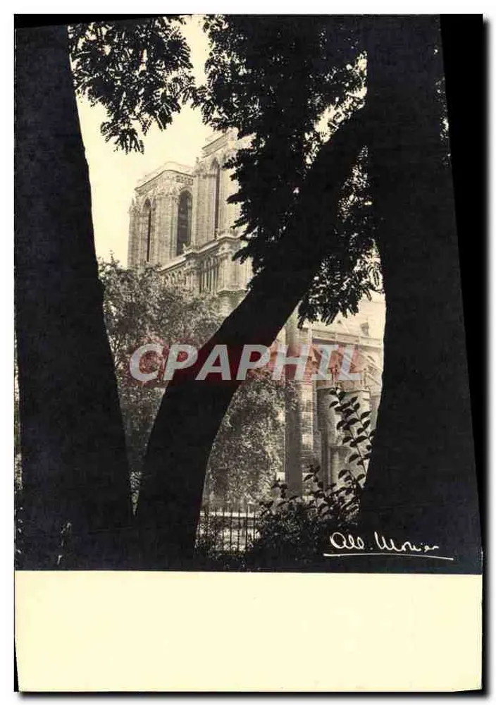 Nossa Senhora de Paris — vista enquadrada por árvores — fotografia de Albert Monier - Frente