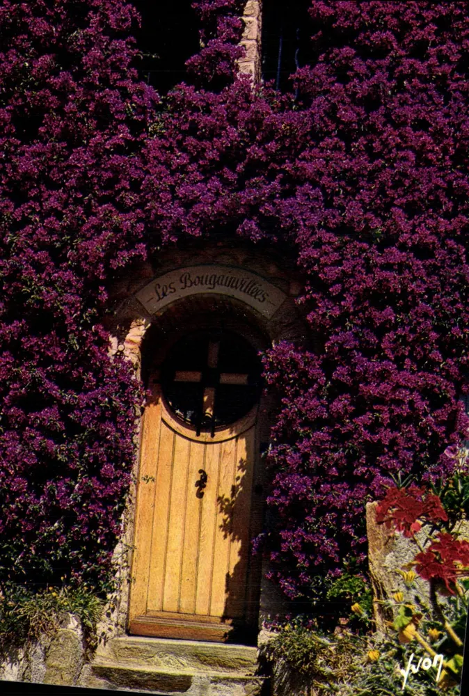 Bougainvillées — porta de madeira sob trepadeira roxa — Edições Jean-Jaurès, Paris - Frente
