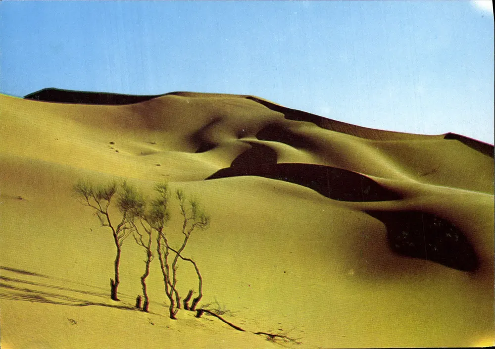 Dunas do Saara — Editor desconhecido, número de série não visível - Frente