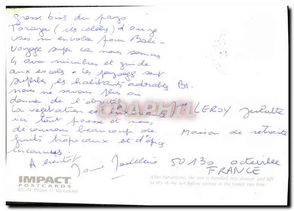 ताना टोराजा, सुलावेसी — चावल के खेत का दृश्य — आइम्पैक्ट पोस्टकार्ड्स EC-179 - पीछे
