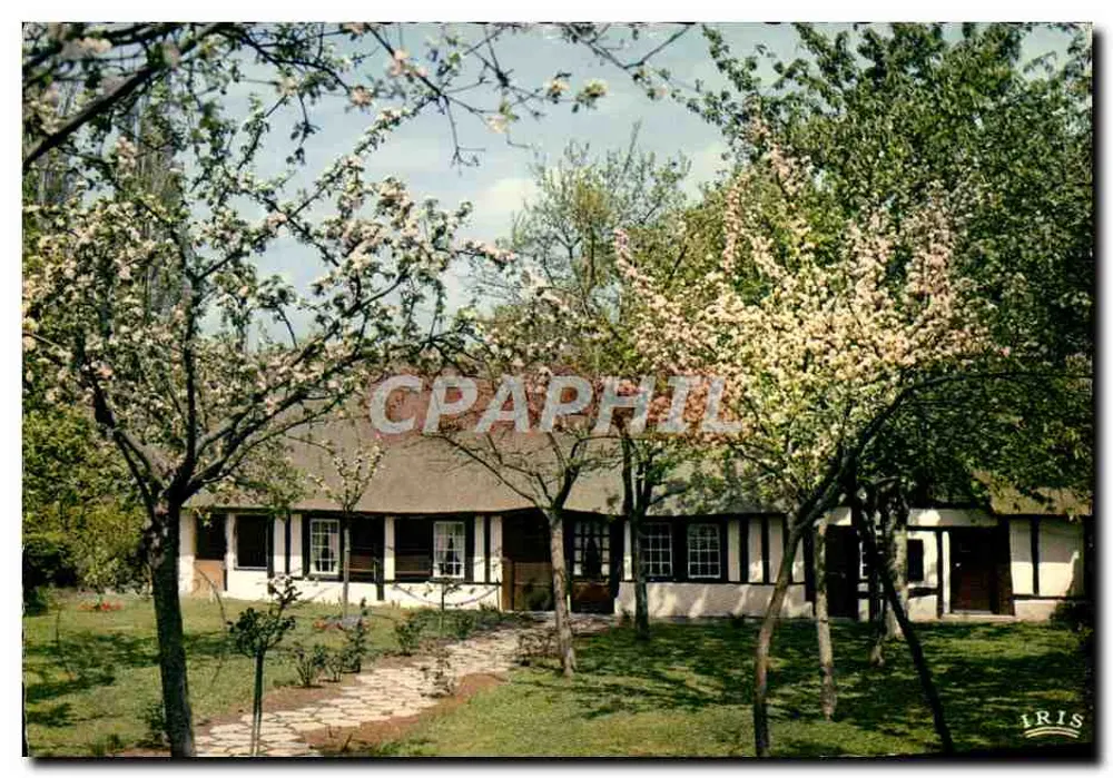 Normannische Hütte — Blühende Apfelbäume — Verlag IRIS - Vorderseite