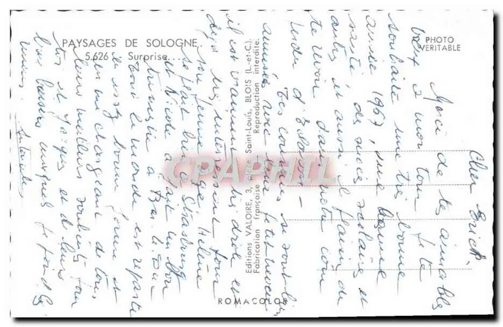 Doe na floresta — Paisagens de Sologne — Edições Valoire, n°5.626 - Verso