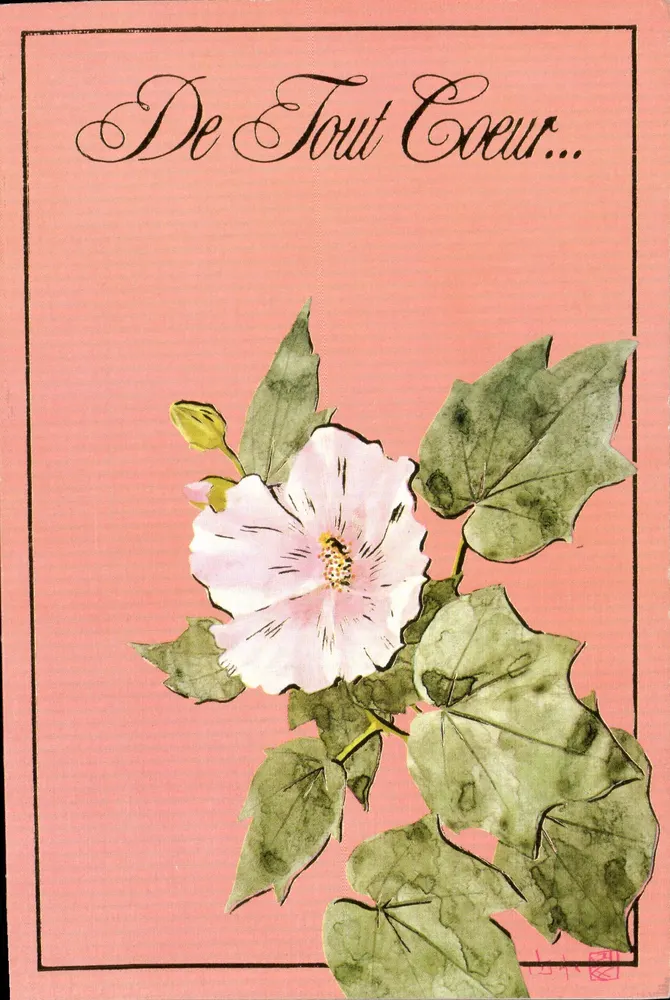 Flor de hibisco — carta postal — N° E 51 - Frente