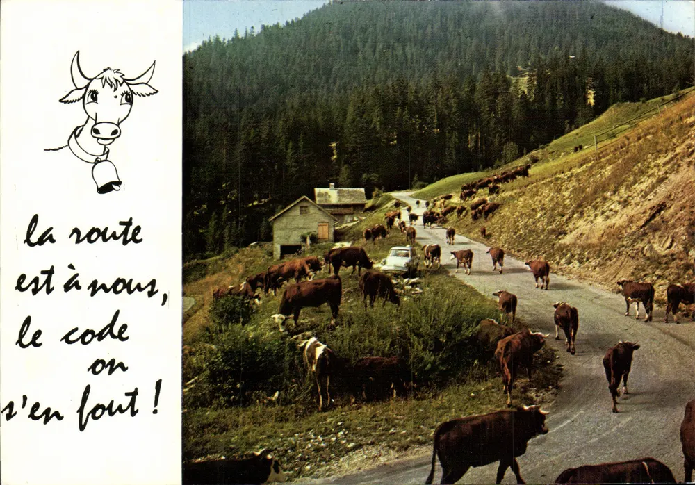 Vacas na estrada de montanha — Edições J. CELLARD, n° F.30570 - Frente
