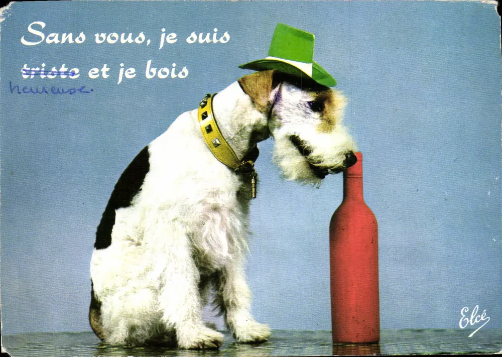 Chien en chapeau vert — avec bouteille rouge — Élécé - Vorderseite