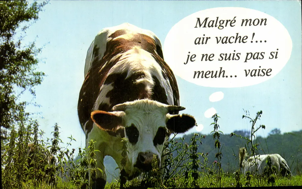 Kuh — humoristische Scherz — Edition LYNA, Serie 855-1 - Vorderseite