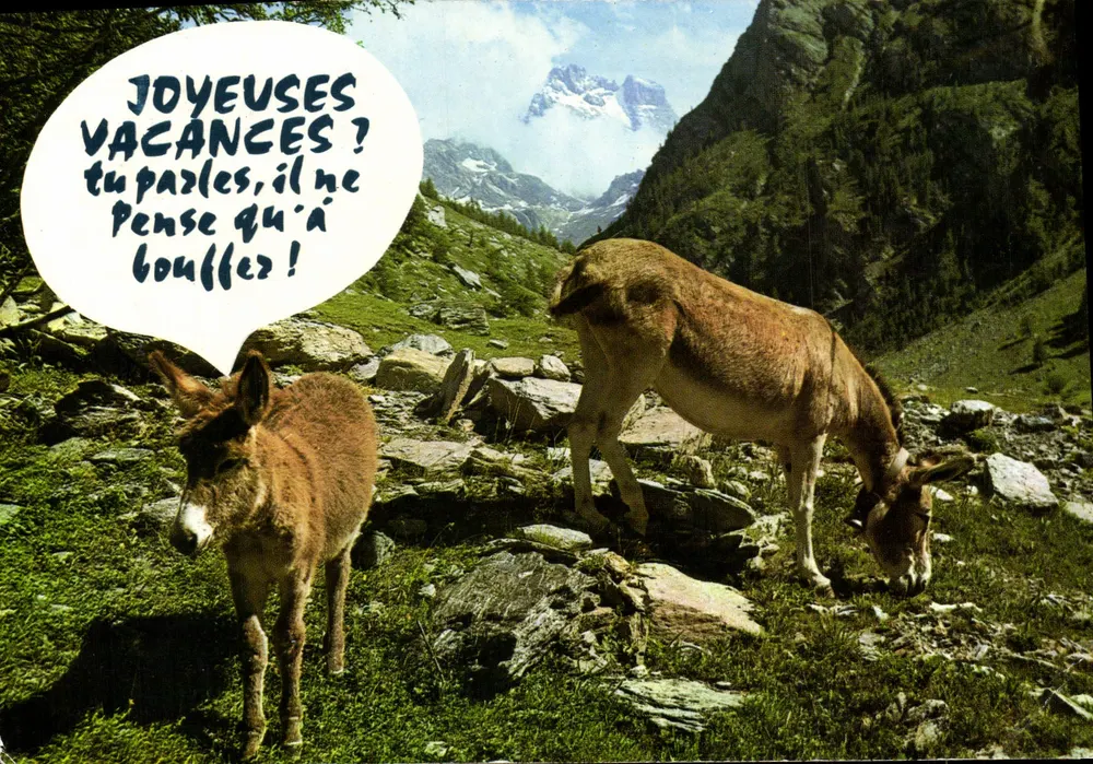 Dwa osiołki w Alpach — Mont Blanc na tle — Les Éditions J. Cégeat, seria F. 30369 - Awers