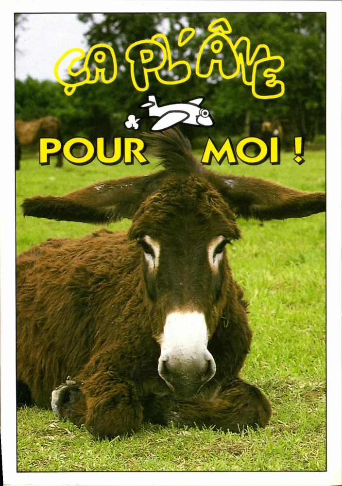Ásno — Para mim! — Les Funnys, N.95-40 - Frente